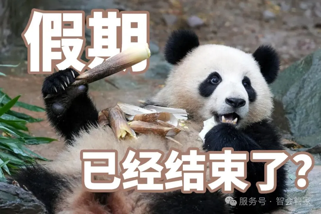 营销活动卡壳？隔壁工位藏着"通关秘籍"